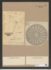 Arachnodiscus ehrenbergii Bail. et Ehr. (de-Toni-Nr.: Genus 204, Species 5210) Zeichnungen Sammlung Grunow Nr. 8994 (NHMW-BOT-W0378695)